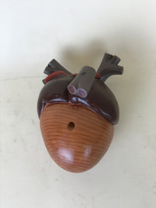 Modello anatomico di cuore di rana in plastica, Germania Anni '70